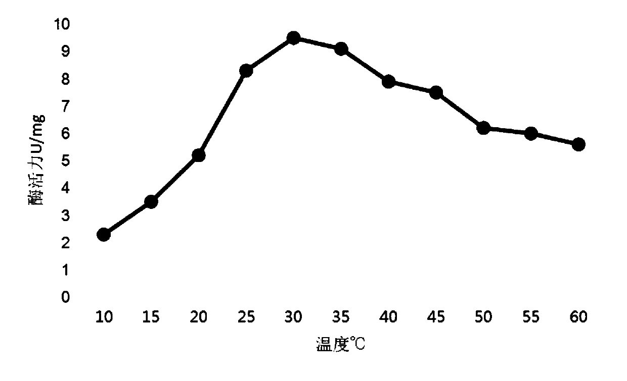 Method of enzymatic degradation of 4-aminosalicylic acid