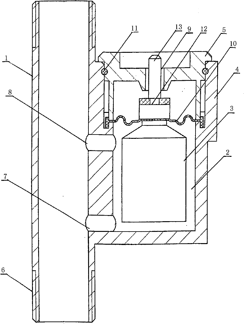 Anti-freezing rank air replenishing device of solar water heater