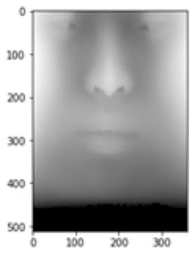 Facial form prediction method based on gene data and generative adversarial convolutional neural network