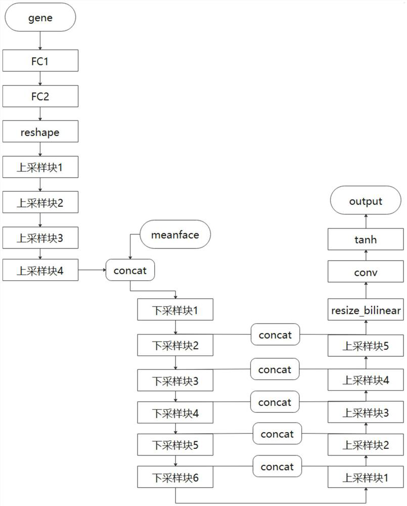 Facial form prediction method based on gene data and generative adversarial convolutional neural network