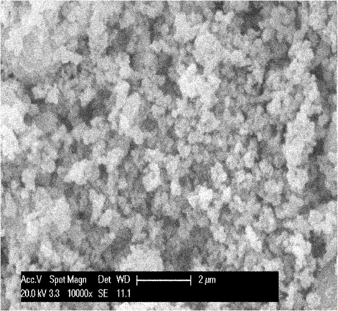 Hydrothermal synthesis method for preparing nano-scale carbon-coated lithium iron phosphate