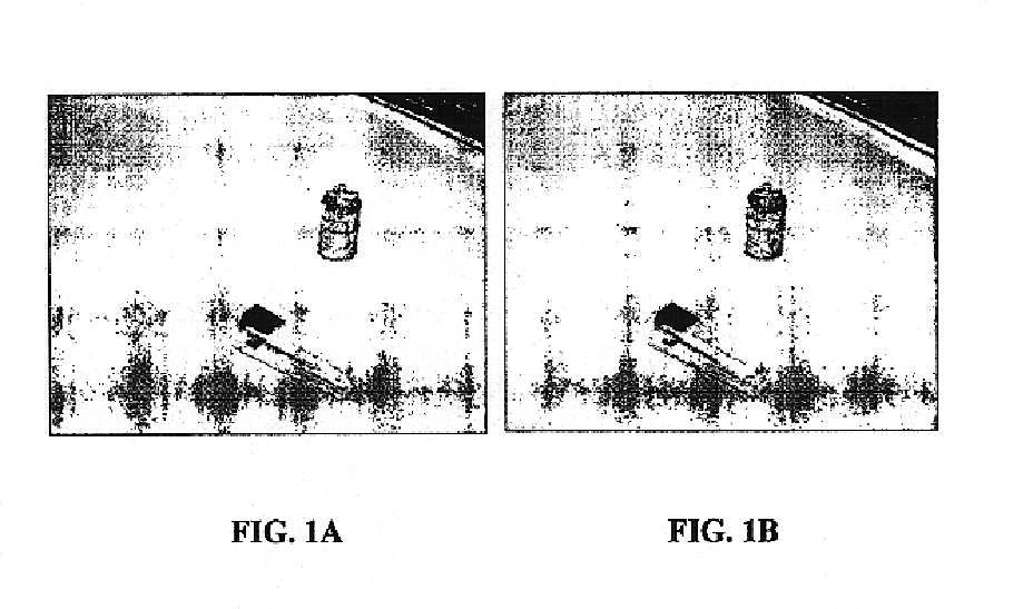 Detection and removal of image occlusion errors