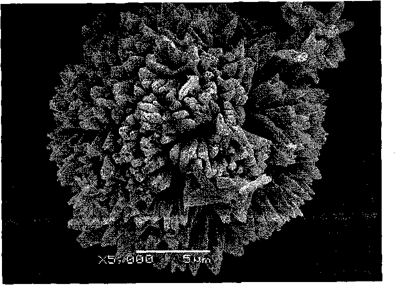 Method and device for preparing medicament particles with nano-micro structure