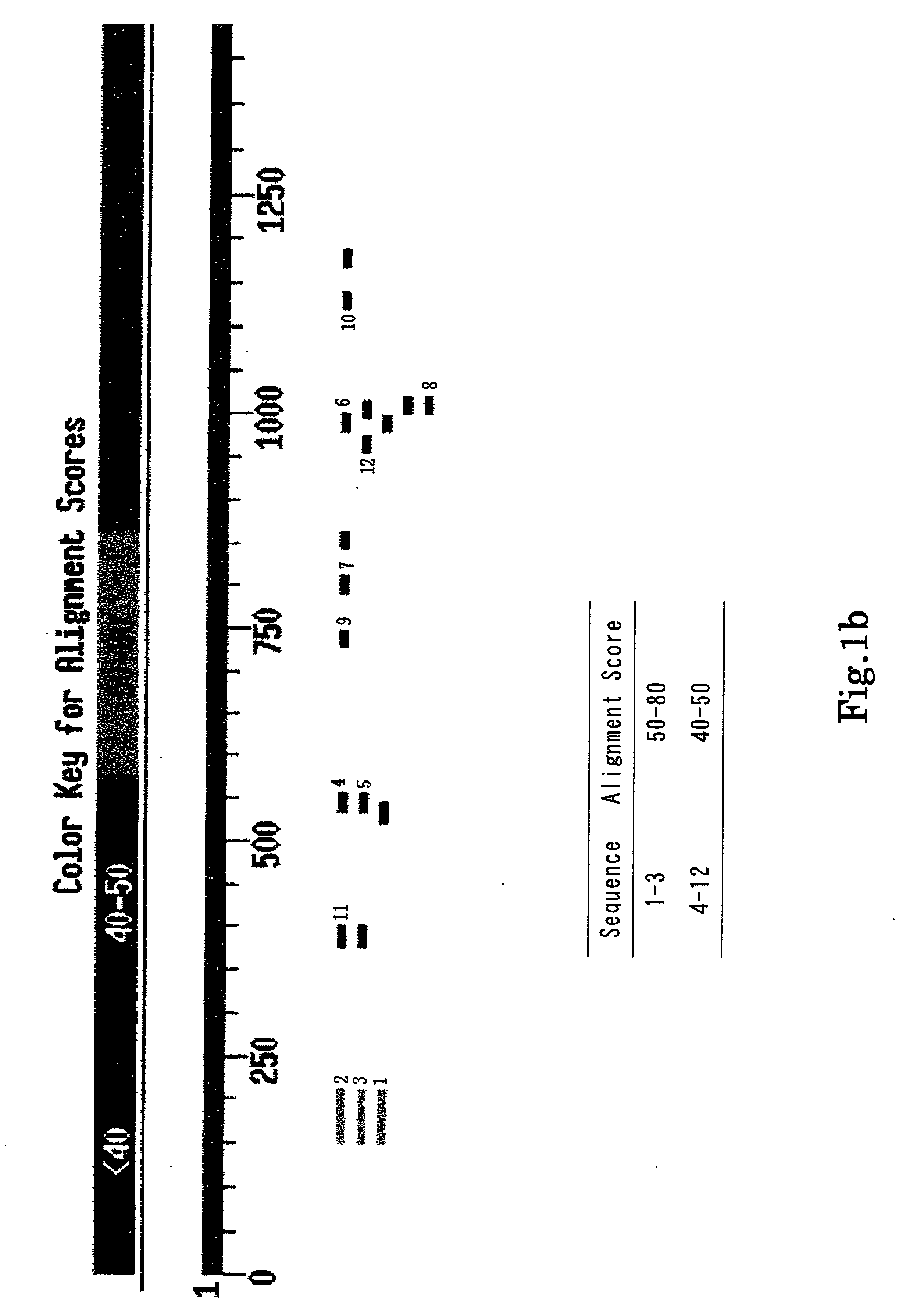 Full - length genomic RNA of papaya leaf - distortion mosaic virus