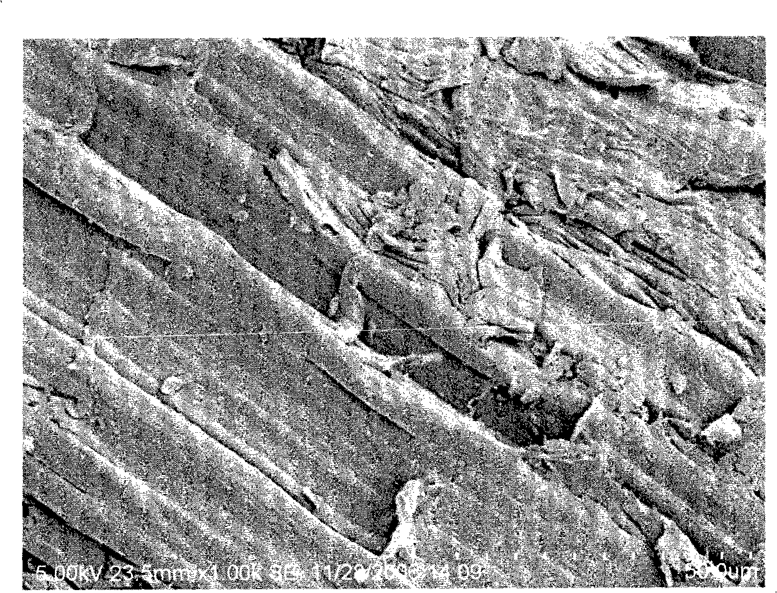 Method for preparing monosaccharide by using raw material containing cellulose