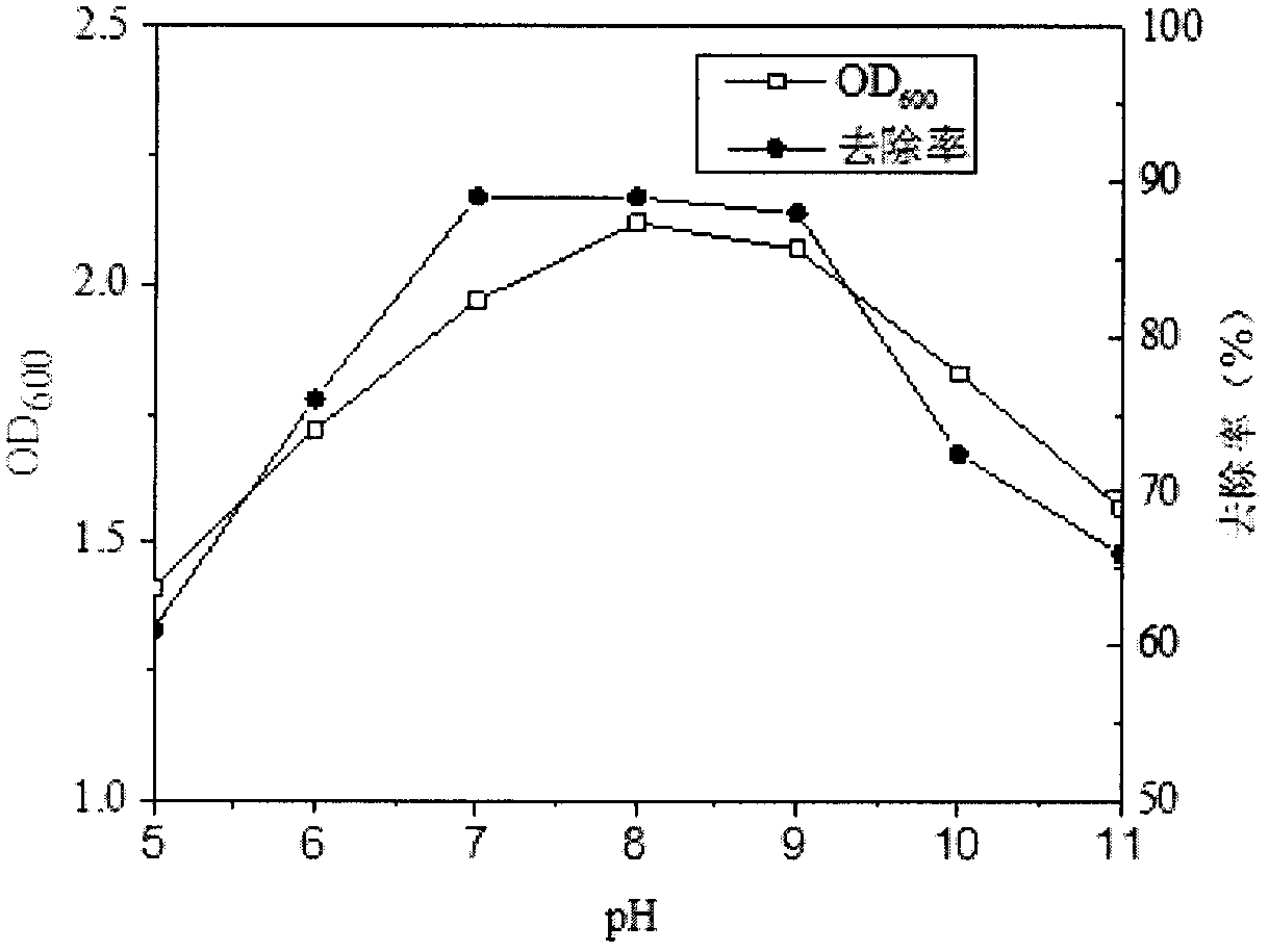 Identification and culture methods for Cr(VI) reducing bacteria