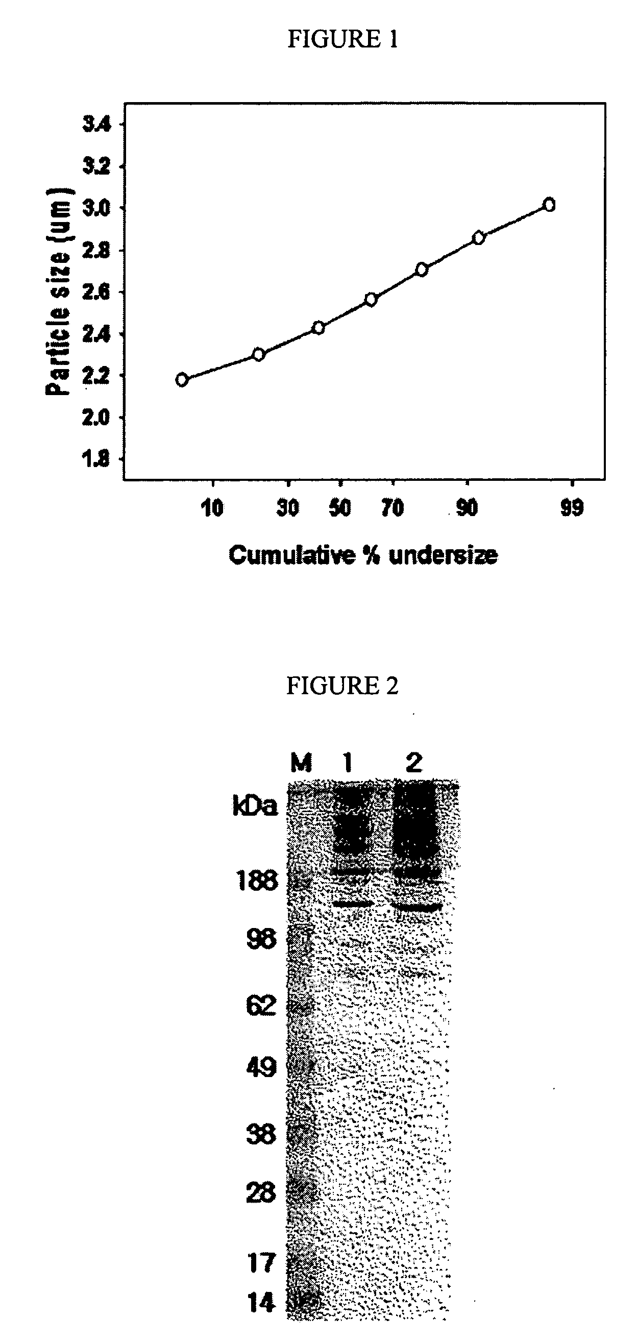 Spray-dried collectin compositions and process for preparing the same