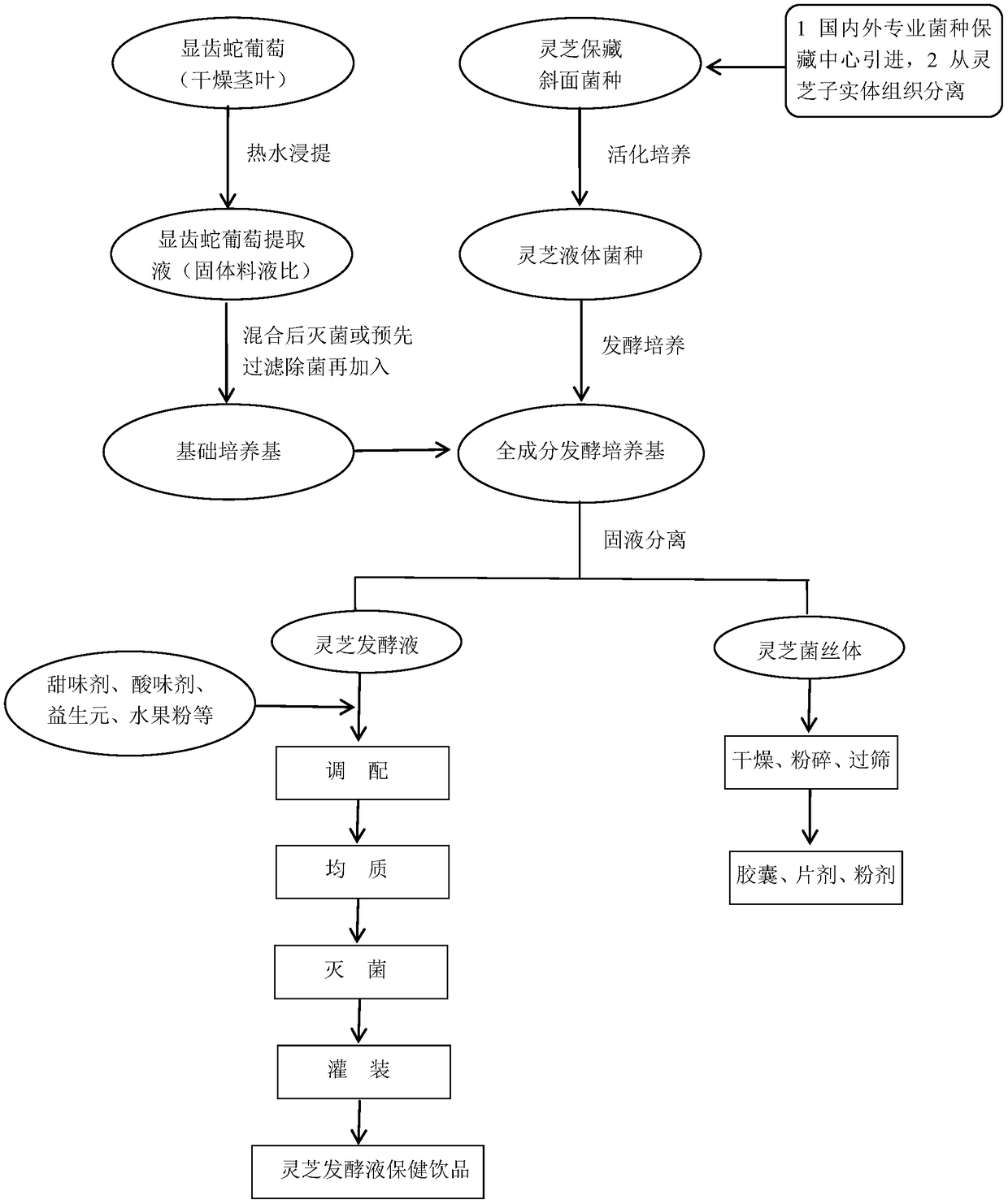 Ganoderma lucidum liquid fermentation technology, fermented product thereof, and applications of fermented product