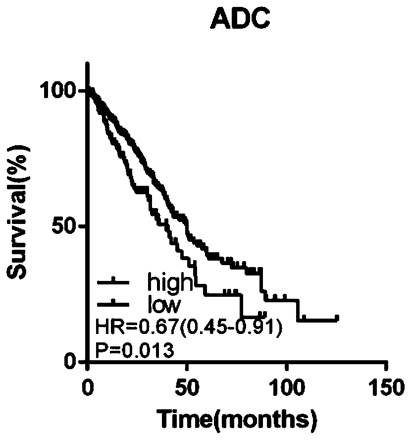 Application of long-chain non-coding RNA LINC00263 in preparation of adenocarcinoma-of-lung prognosis detection preparation