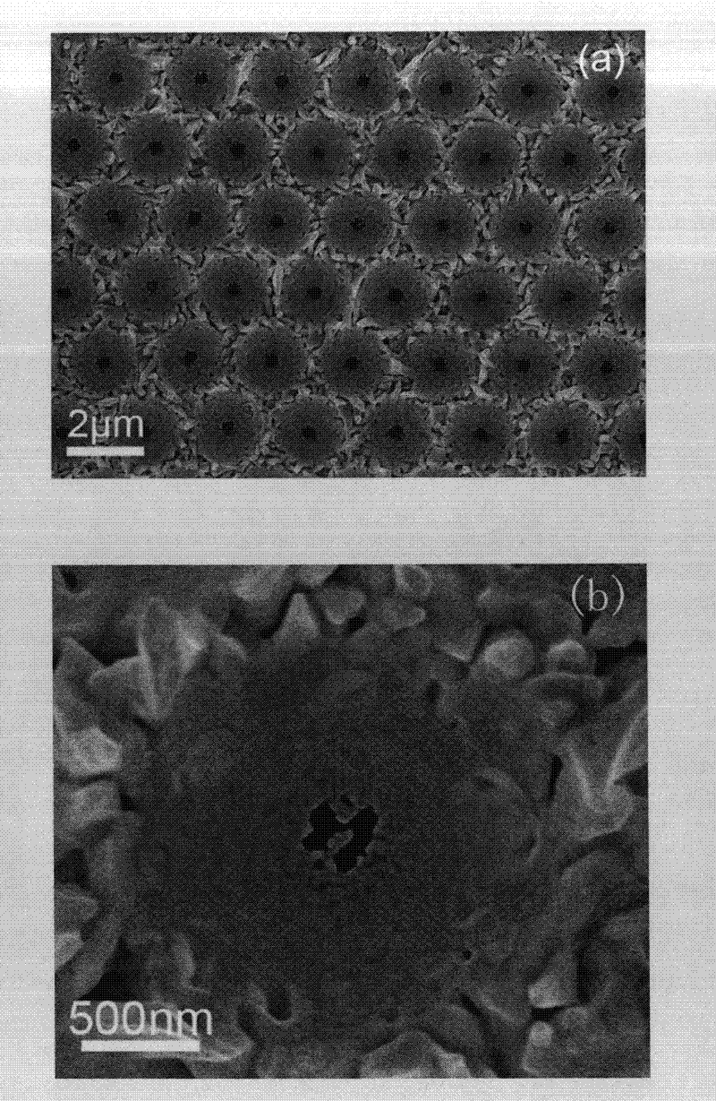 Gold micro-nano composite structure array and preparation method thereof