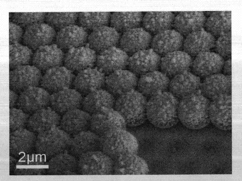 Gold micro-nano composite structure array and preparation method thereof