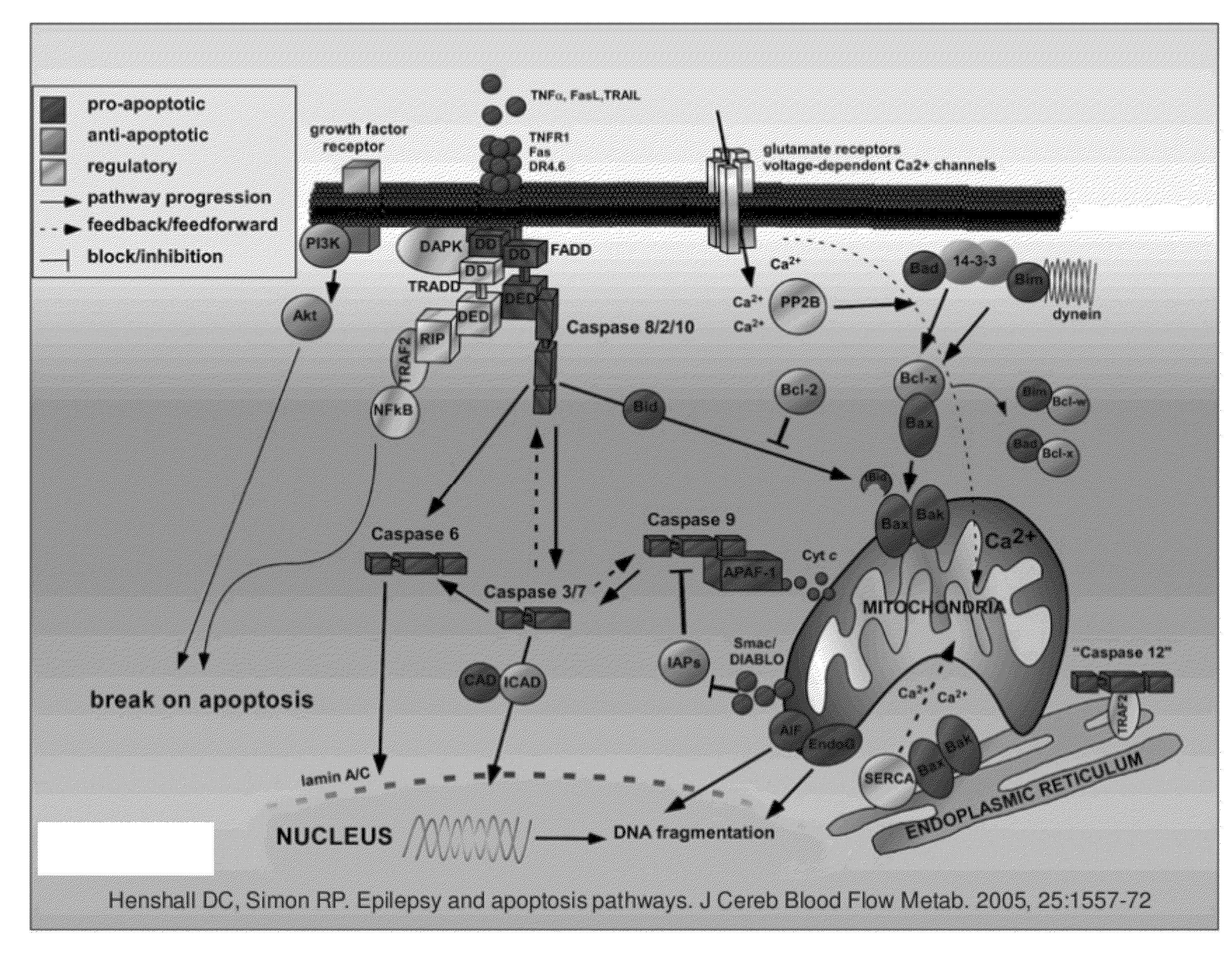 Anti-cancer therapeutic strategy to overcome cancer resistance and to enable tailoring treatment to patients