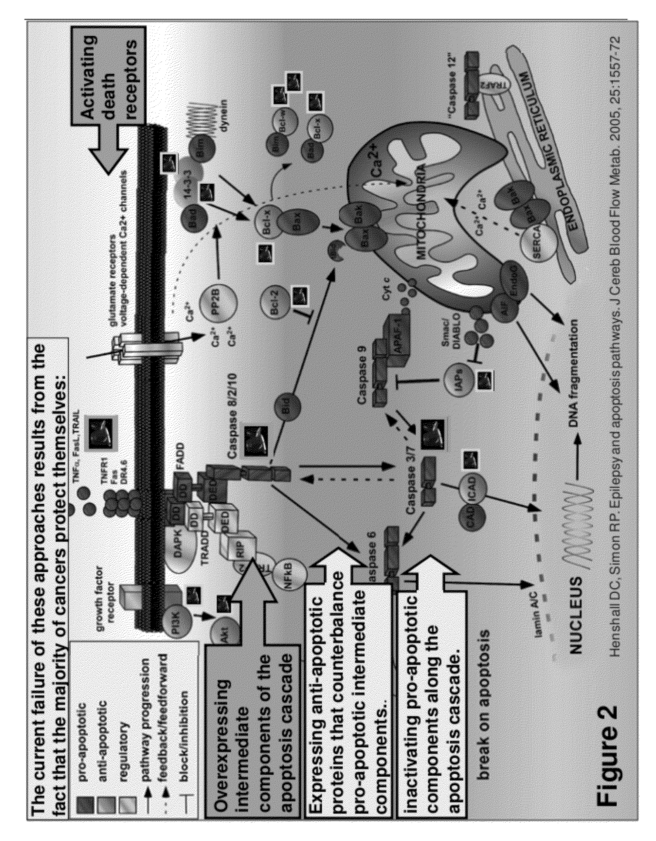 Anti-cancer therapeutic strategy to overcome cancer resistance and to enable tailoring treatment to patients