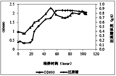 Kelp degrading bacteria and method for preparing kelp juice utilizing same