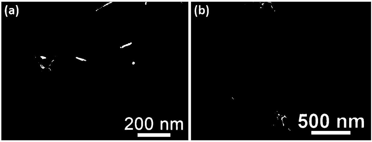 Graded dendritic PtCu electro-catalyst and preparation method thereof