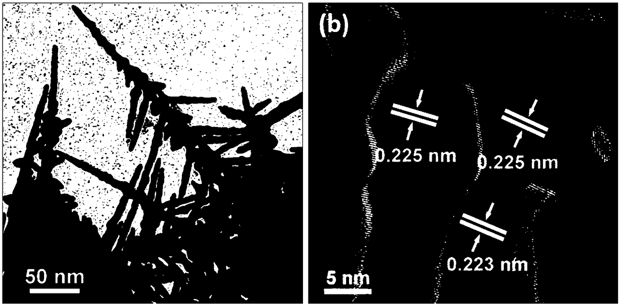 Graded dendritic PtCu electro-catalyst and preparation method thereof