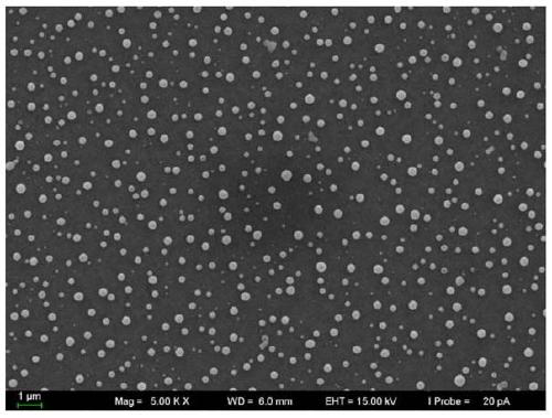 Waterproof coating material and preparation method thereof