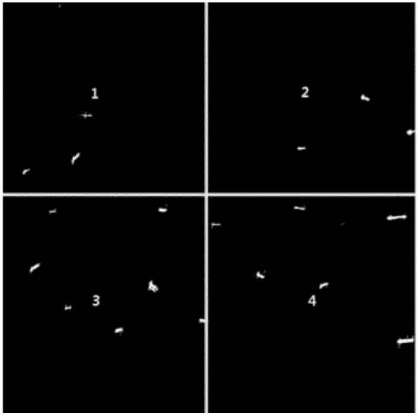 SAR image CFAR adaptive rapid detection method based on multithreading