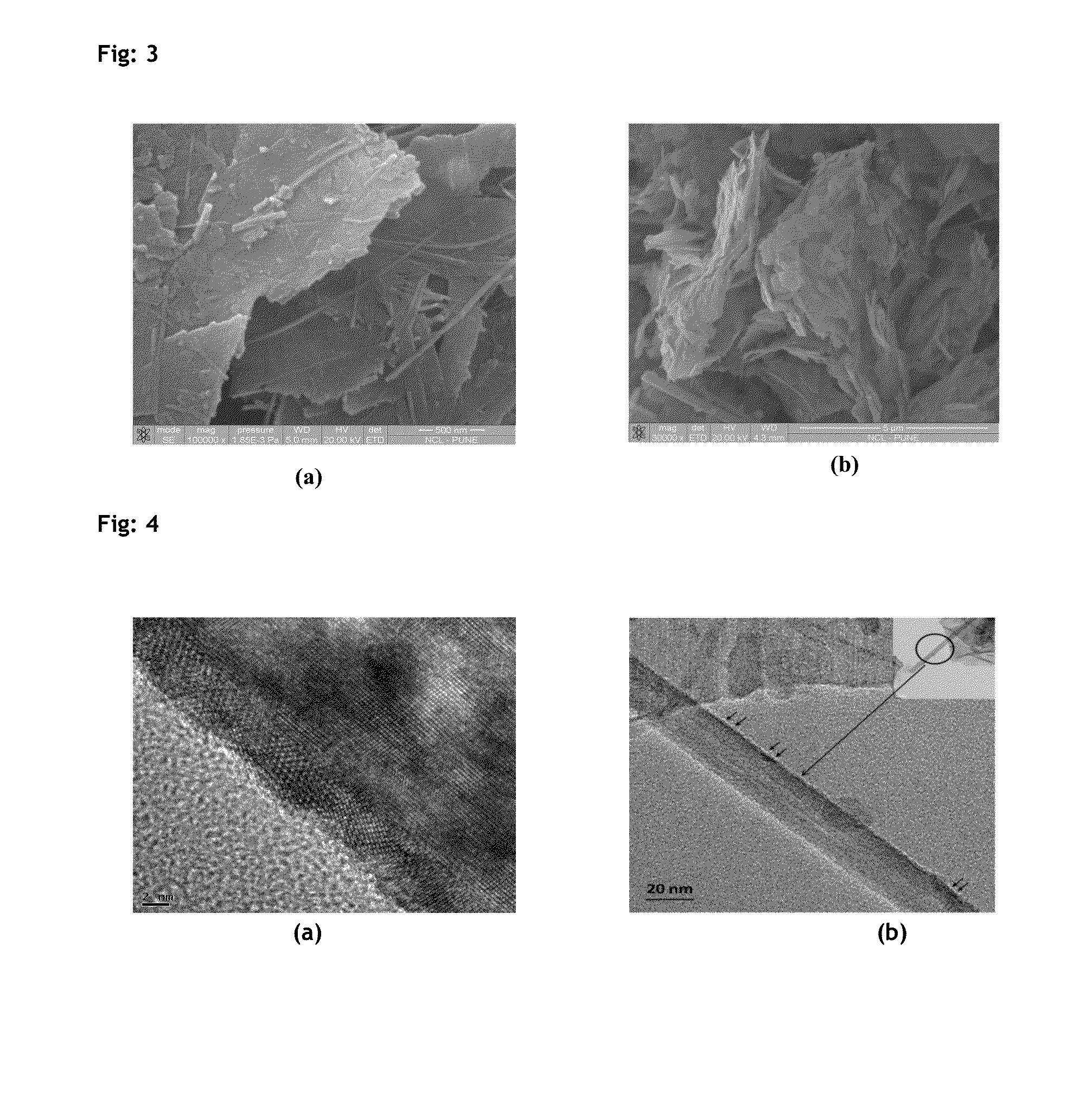 Novel oxidation catalyst, the process for the preparation thereof and green process for selective aerobic oxidation