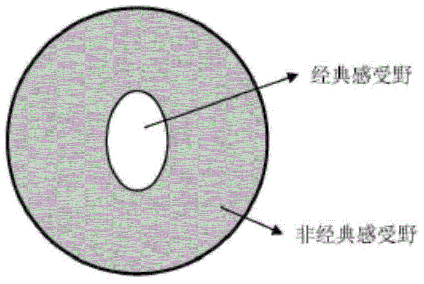 Contour extraction method based on brightness characteristic and contour integrity