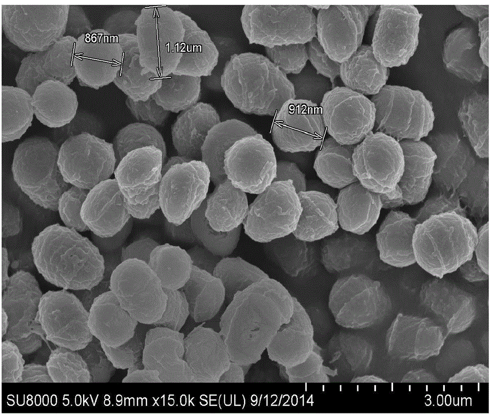 Rhodococcus sp. strain and application thereof