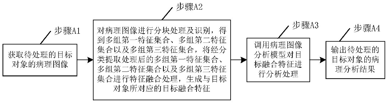 Pathological image processing method and model training method and device based on deep learning