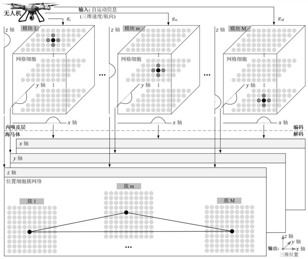 Brain-like navigation method based on multi-scale grid cell path integration