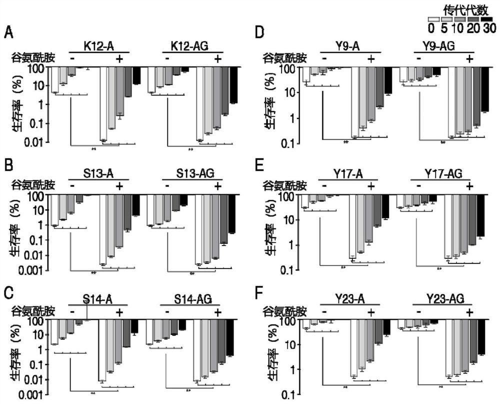 Application of glutamine in preparation of drug for inhibiting escherichia coli from generating gene mutation