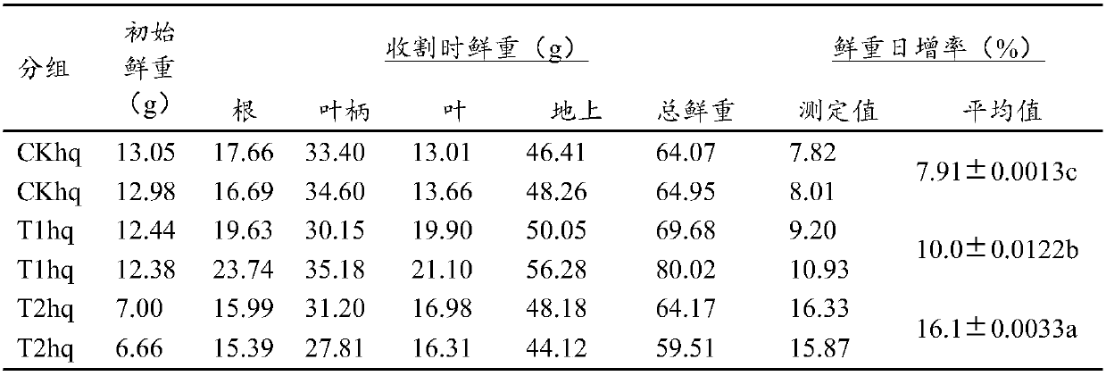 Nutrient solution special for water culture of celery