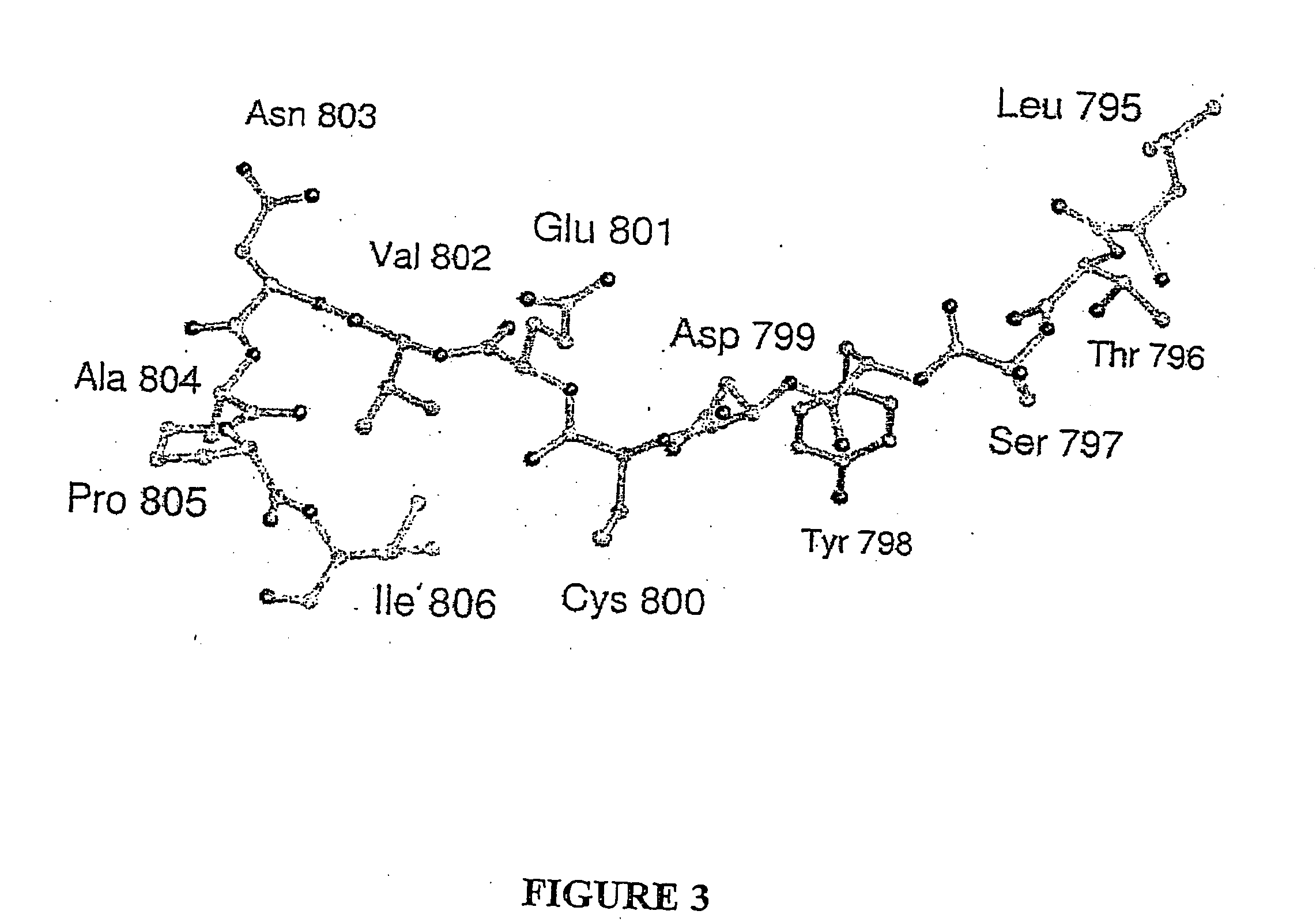 Hydroxylases and modulators thereof