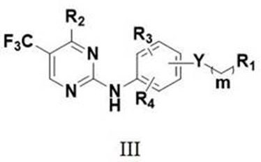 no  <sup>2</sup> -Substituted alkoxy aromatic ring-2-aminopyrimidine derivatives and their application