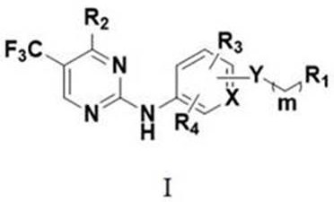 no  <sup>2</sup> -Substituted alkoxy aromatic ring-2-aminopyrimidine derivatives and their application