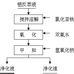 Purification method of indium back extraction solution