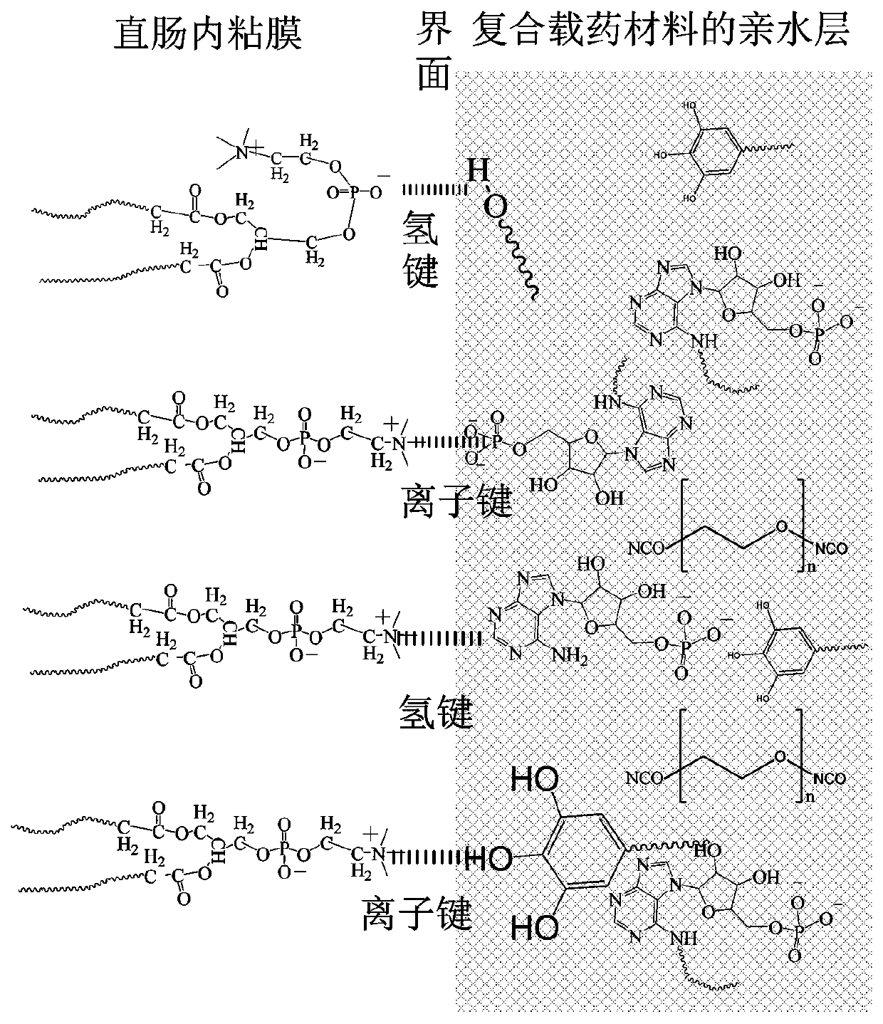 Drug sustained-release material and application thereof in sustained-release material for treating proctitis