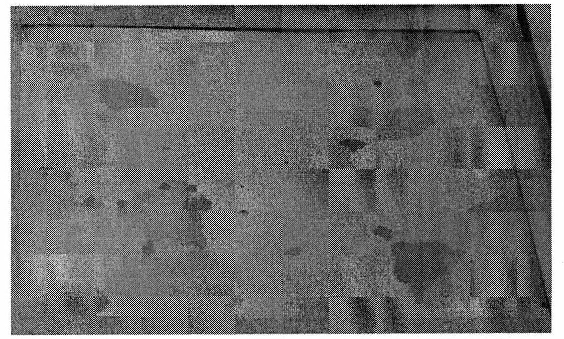 Method for detecting orientation of large-sized crystal grains