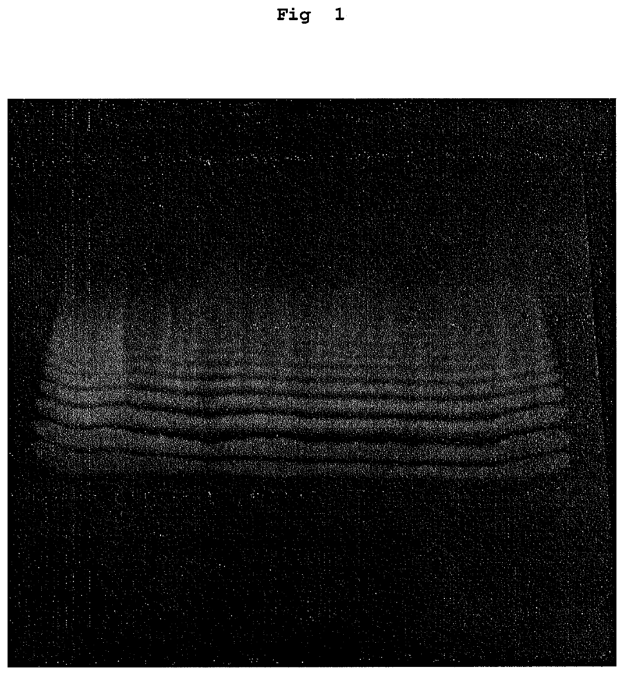 Hydroxylated fatty acid homopolymer and production method thereof