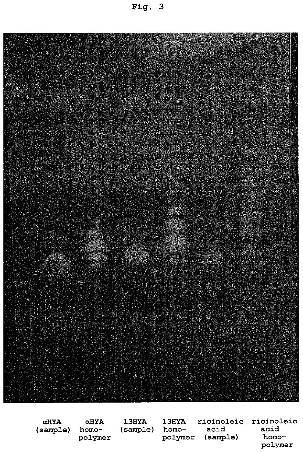 Hydroxylated fatty acid homopolymer and production method thereof