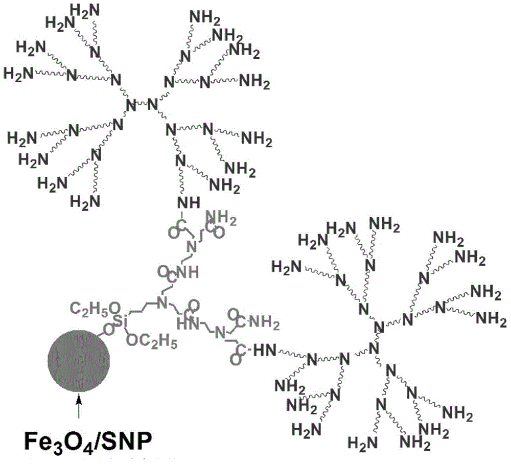 Heavy metal ion adsorbent and preparation method thereof