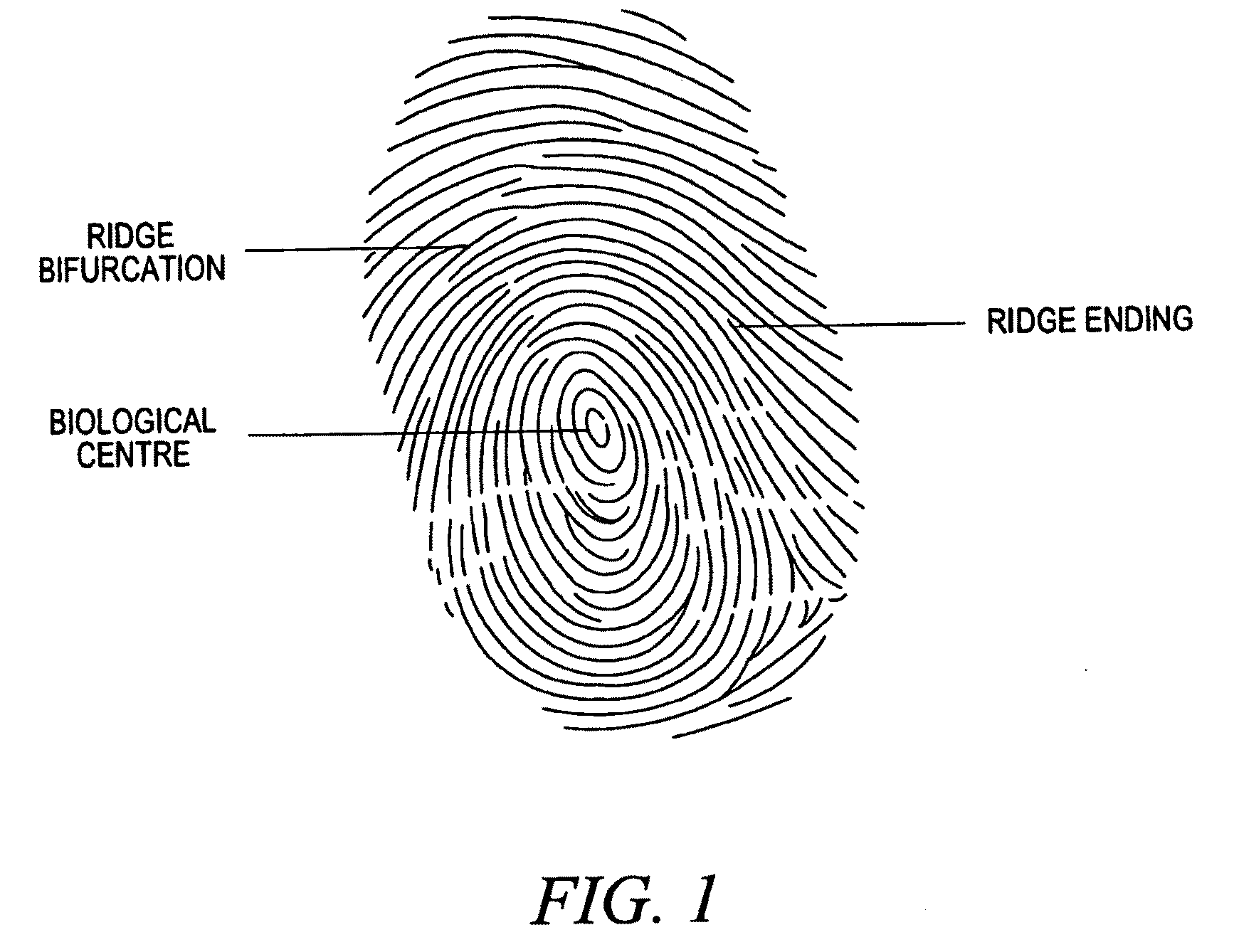 Fingerprint matching method and apparatus