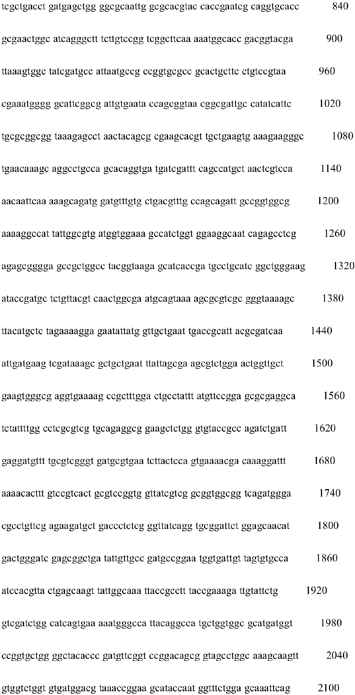 Method for producing L-tyrosine recombinant engineering bacteria and application of recombinant engineering bacteria