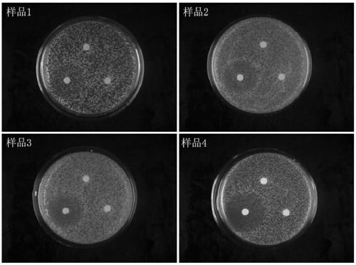 Honeycomb extract antibacterial soap and preparation method thereof