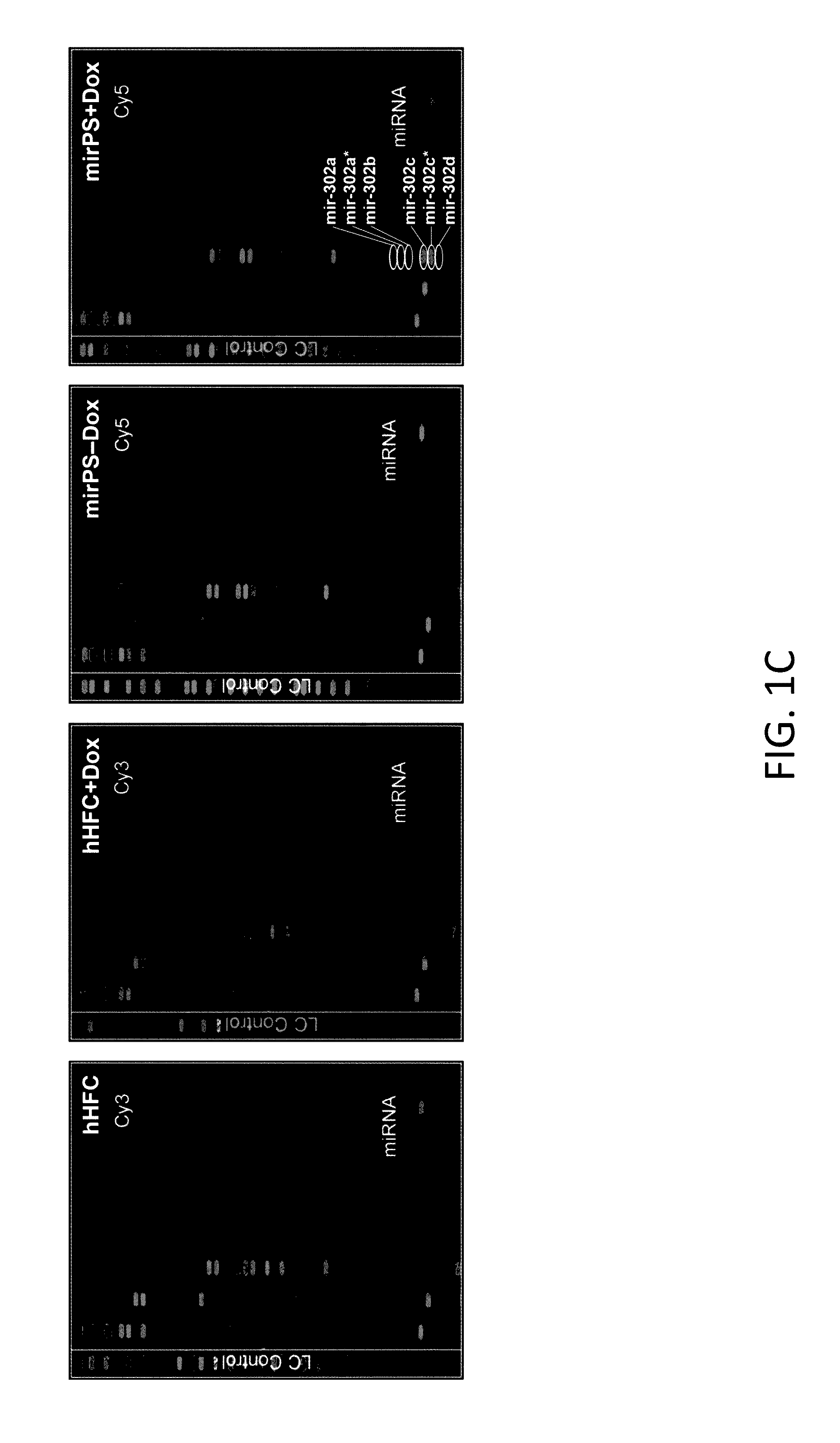 Production and utilization of a novel Anti-cancer drug in therapy