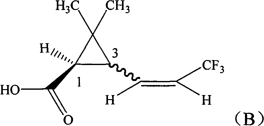 New pyrethroid compound and preparation method and application