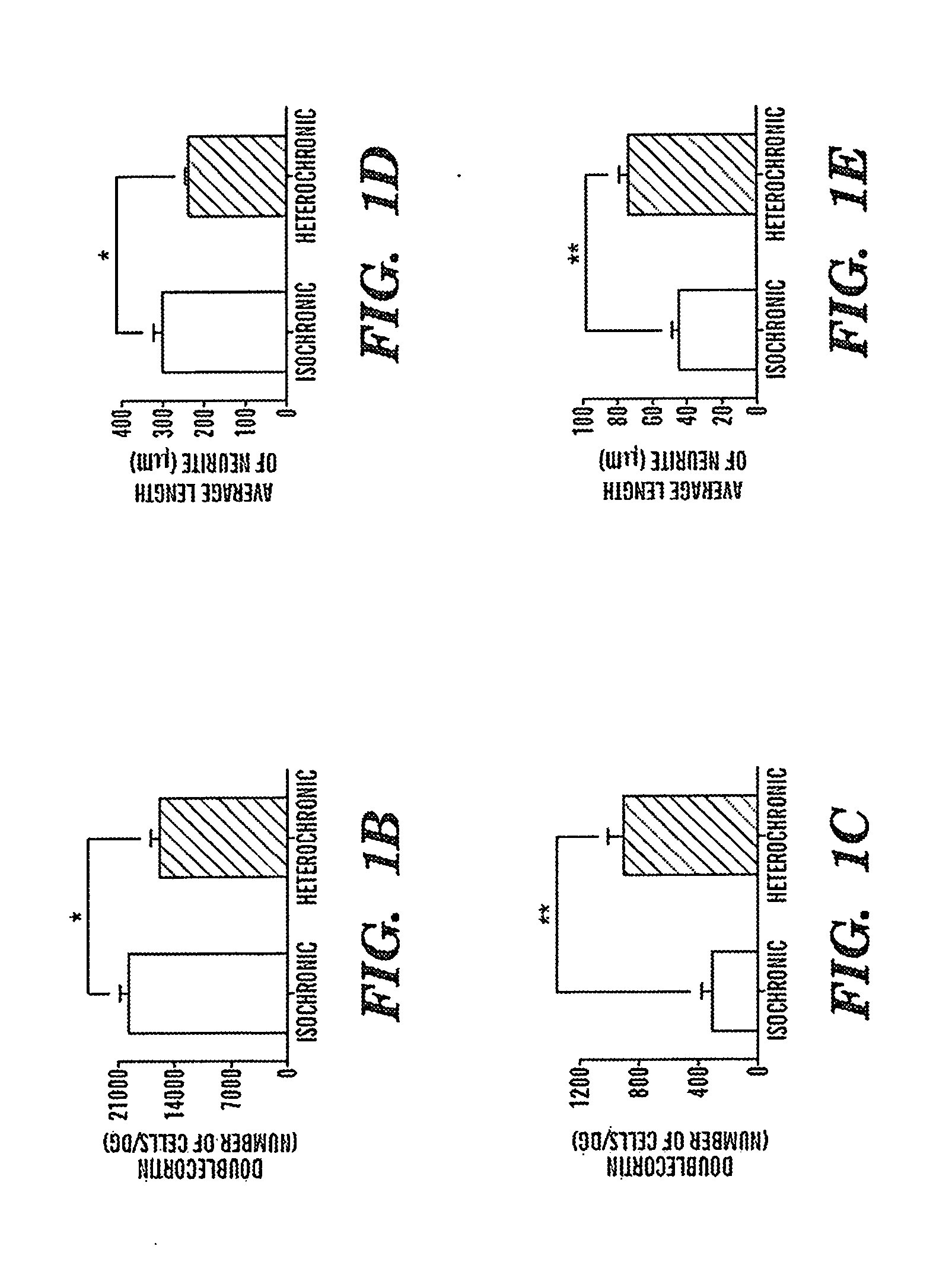 Biomarkers of aging for detection and treatment of disorders