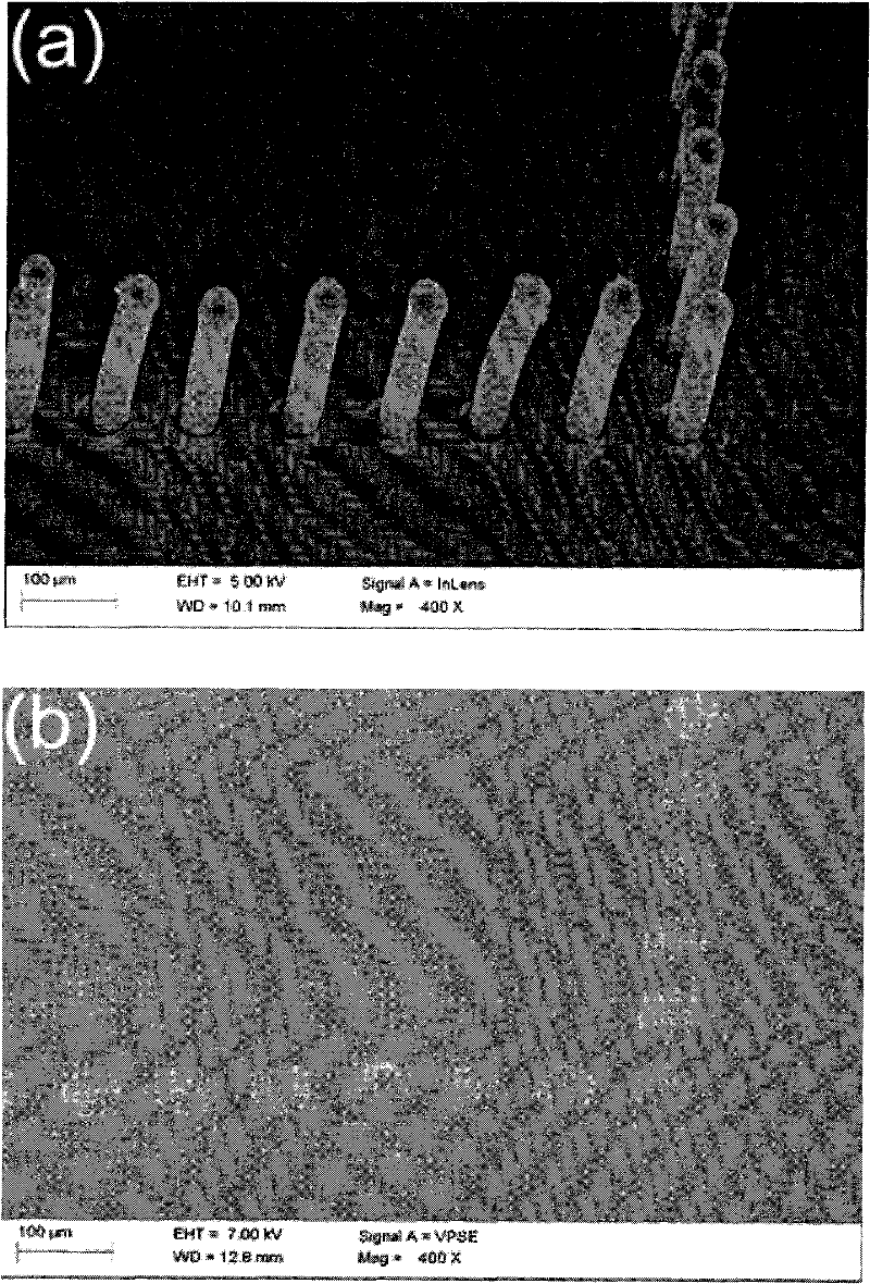 Method for filling silicon through holes by using carbon nanotube clusters