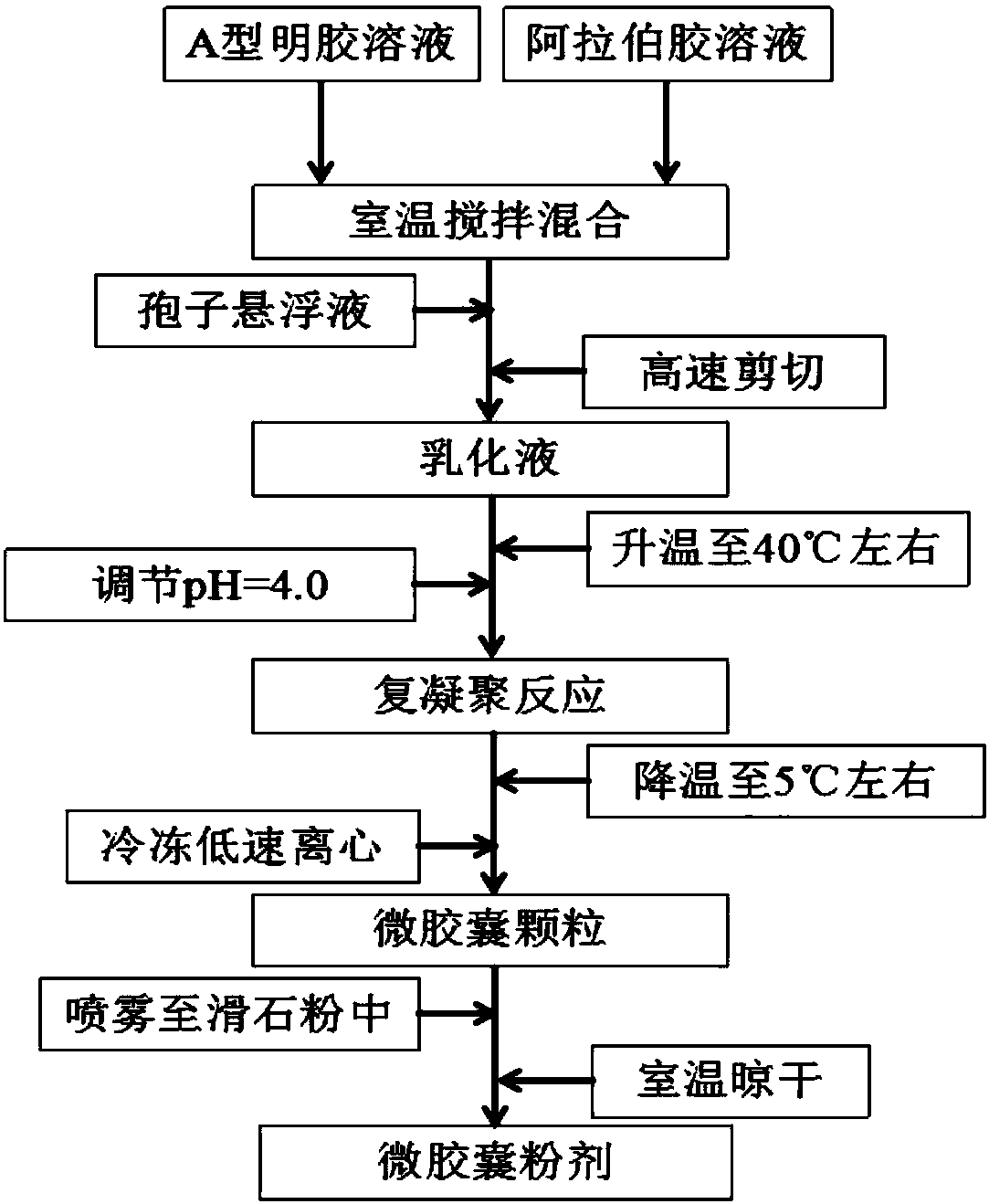 Green muscardine fungus conidium microcapsule and preparation method and application thereof