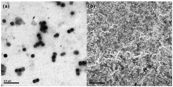 Polypyrrole/titanium dioxide frequency type thin film qcm gas sensor and preparation method thereof