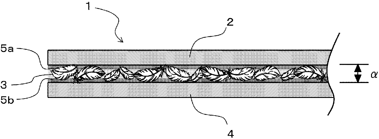 Fiber laminate and manufacturing method of fiber laminate