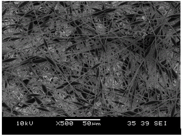 Method for preparing phase-changing fiber having core-shell beaded structure