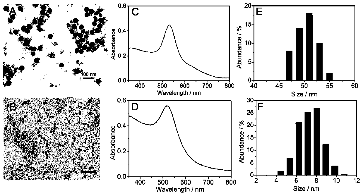 PARP-1 single particle detection method based on dark field scattering imaging